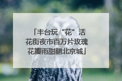 丰台玩“花”活 花街夜市百万片玫瑰花瓣雨甜翻北京城